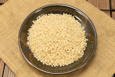 【令和6年度産】はるみ 玄米 10kg 自然農法 (徳島県 久米健文) 産地直送
